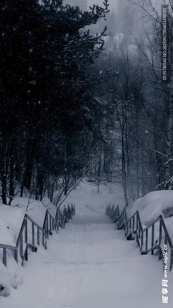 雪覆林間小道