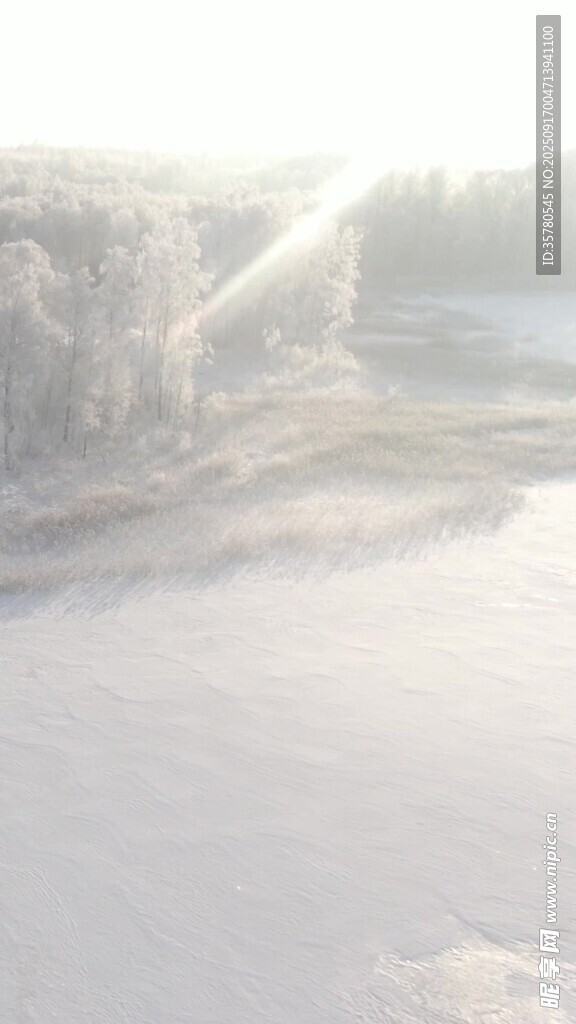 冬日雪景中的陽光灑落
