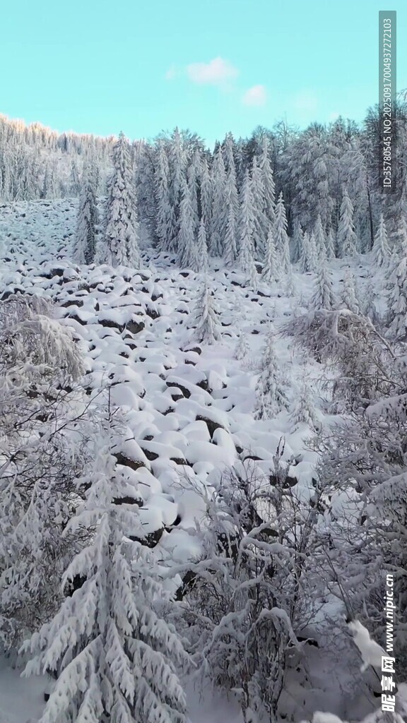 冬日雪景中的靜謐山林