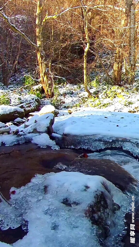 冬日溪邊雪景