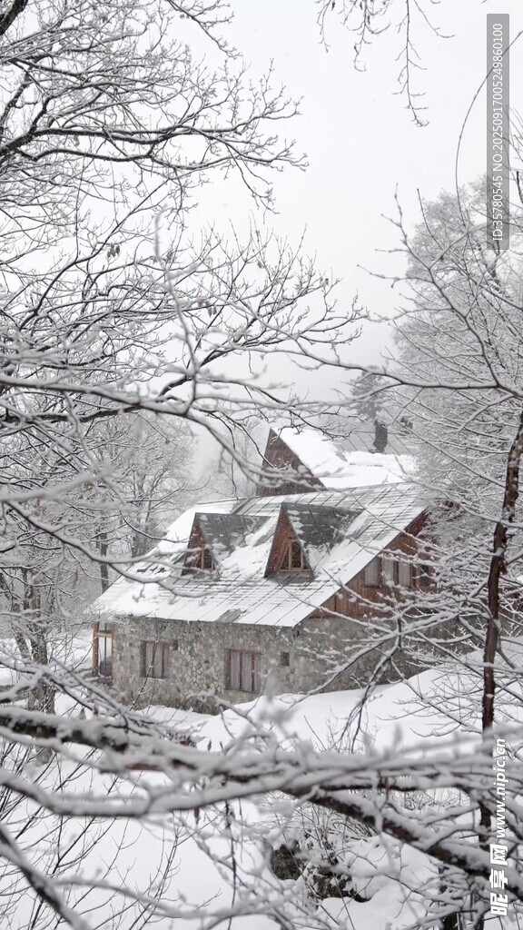 雪覆林間小屋