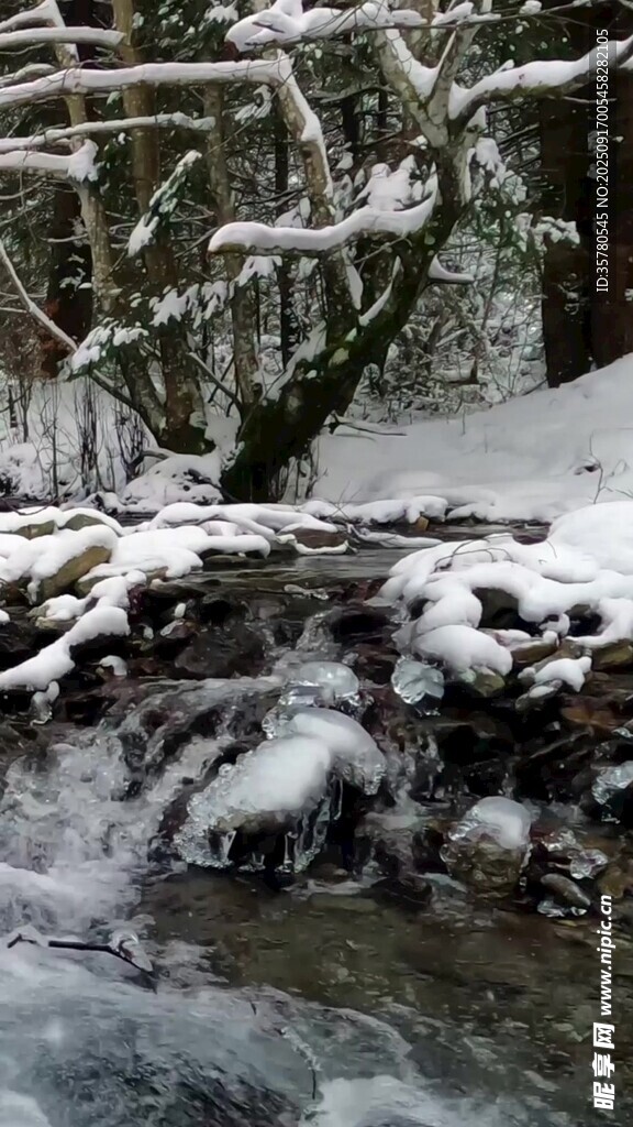 雪覆溪流林間冬日景致