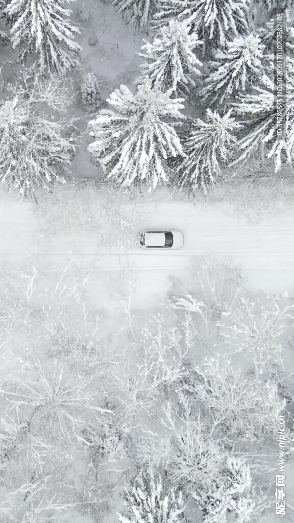 雪林之中的孤獨(dú)車(chē)輛