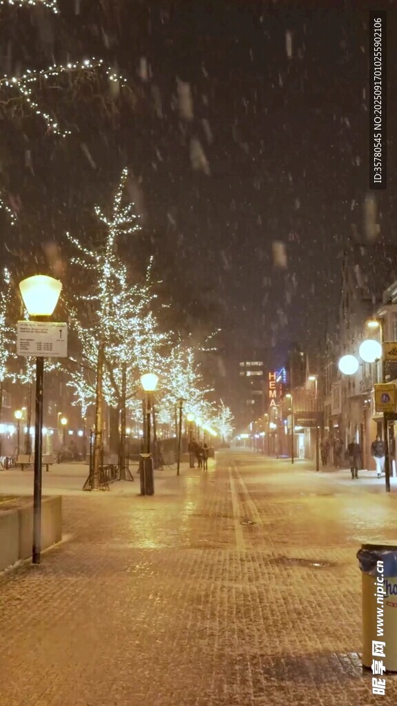 雪夜街道的靜謐美景