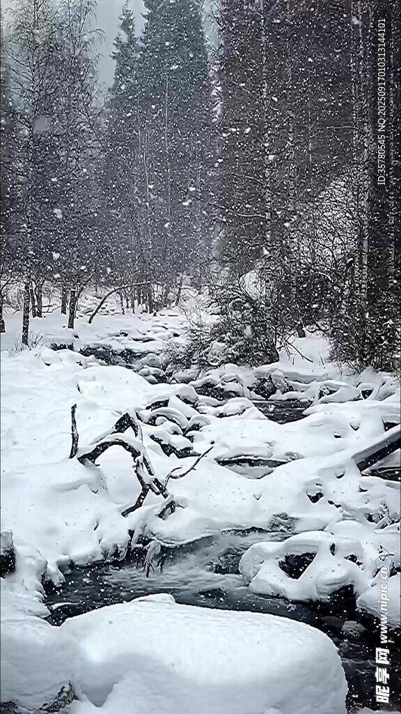 冬日雪景中的靜謐溪流