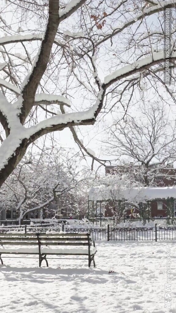 冬日雪景中的公園長(zhǎng)椅