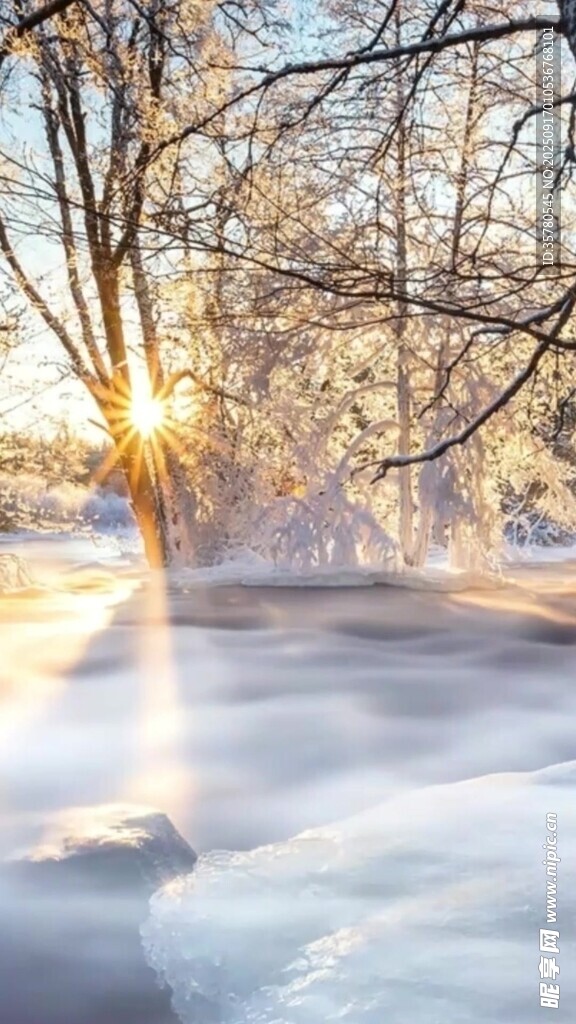 冬日林間雪景陽光灑落