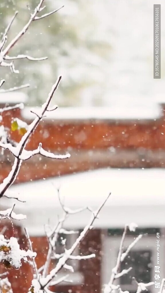 雪覆枝頭的冬日庭院