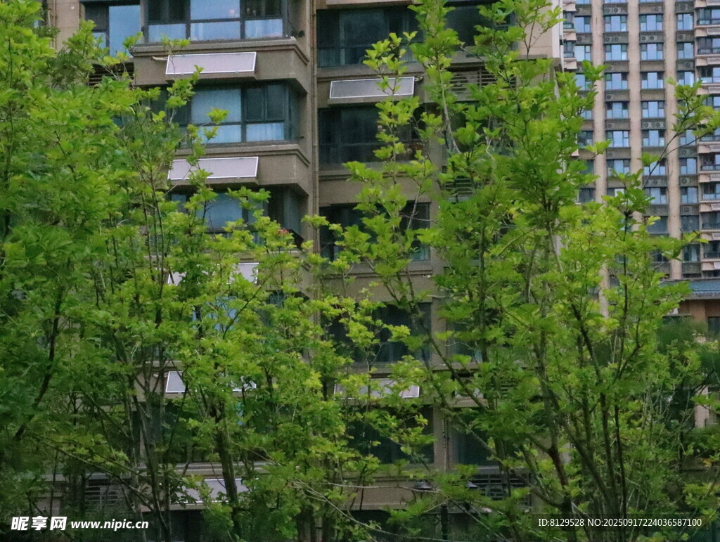 綠樹掩映下的都市建筑