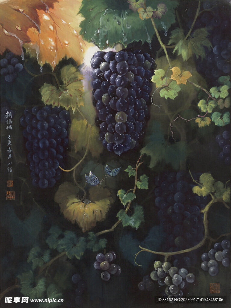 葡萄藤蔓間的飽滿紫葡萄