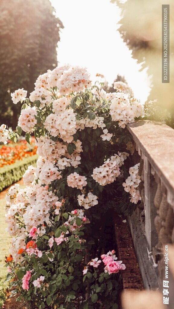 繁花簇?fù)淼睦寺▔? />
                            </div>
                    </div>
                </div>



                <div   id=