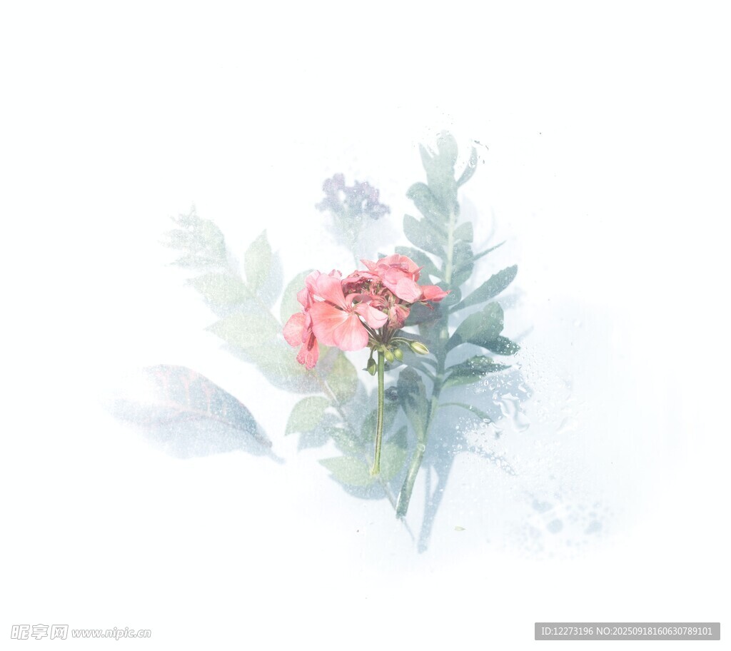 水彩繪就的清新花卉組合