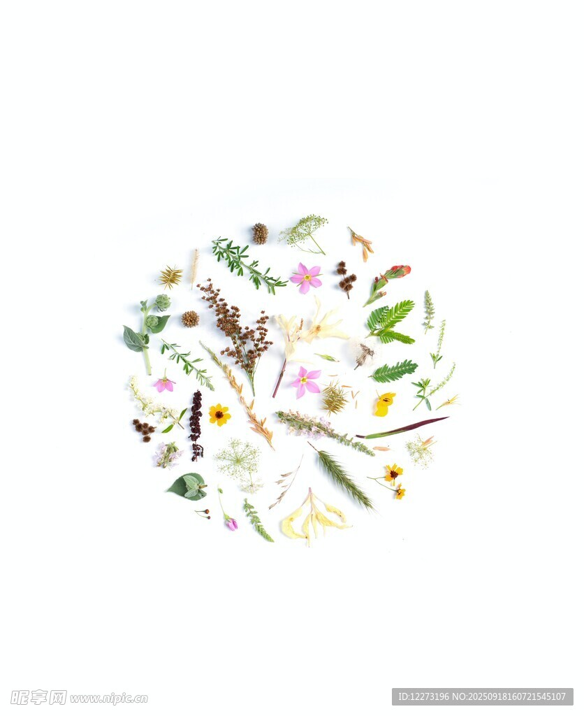 圓形拼貼風(fēng)多彩植物圖案