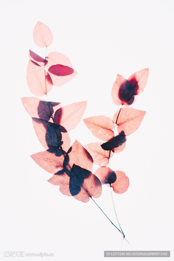 粉色花朵串成的別致花環(huán)