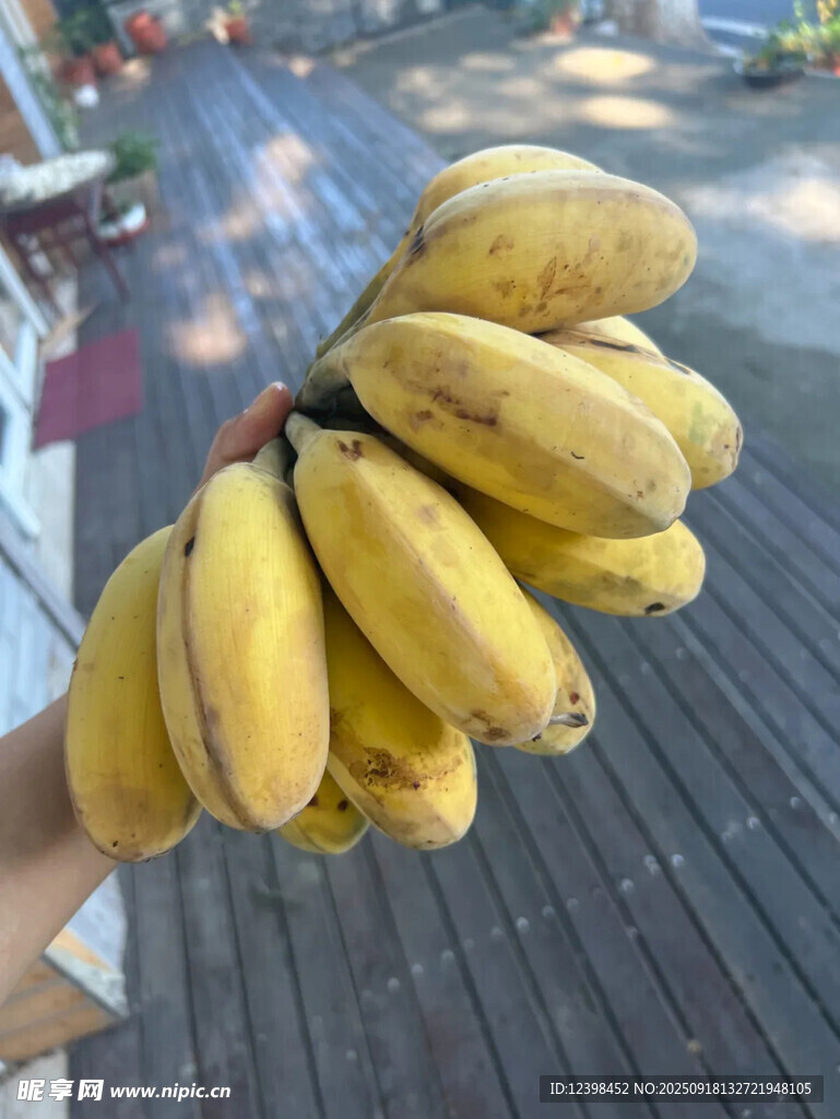 手捧新鮮黃香蕉