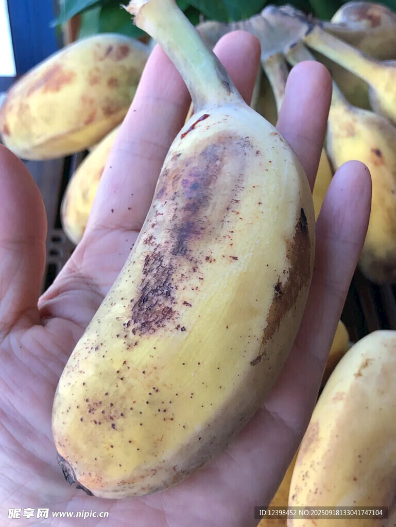 手中的帶斑成熟香蕉