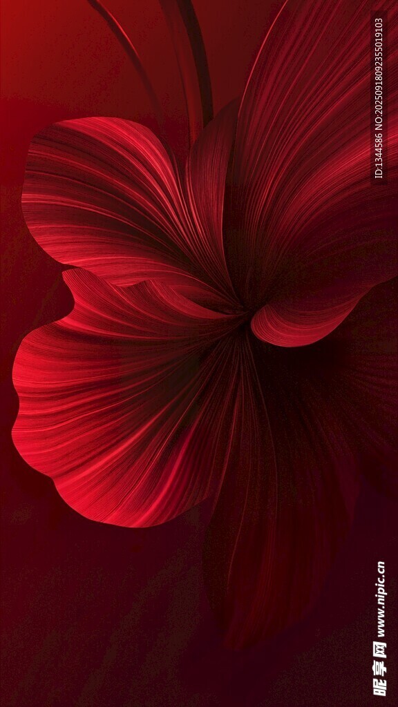 深紅綻放的優(yōu)雅花朵