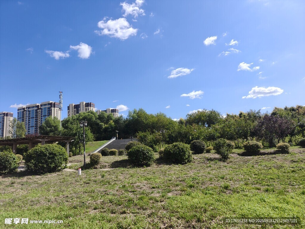 藍(lán)天綠地旁的城市建筑群