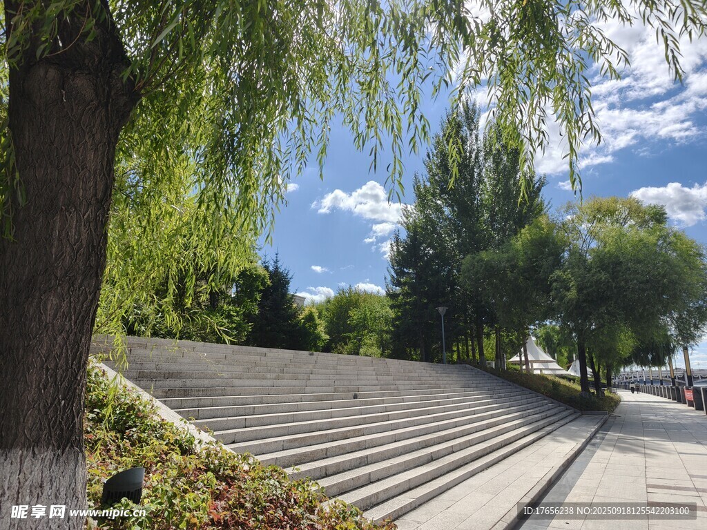 戶外階梯旁的垂柳與藍(lán)天