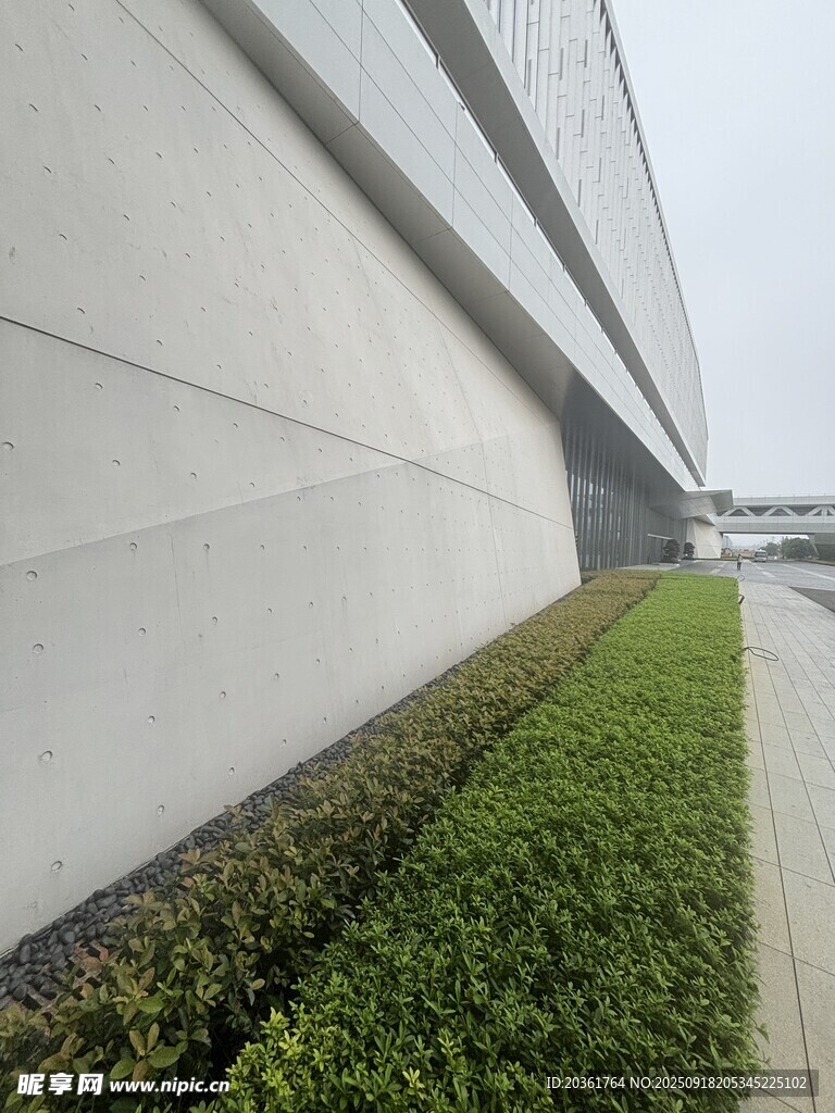 墻邊整齊綠植景觀