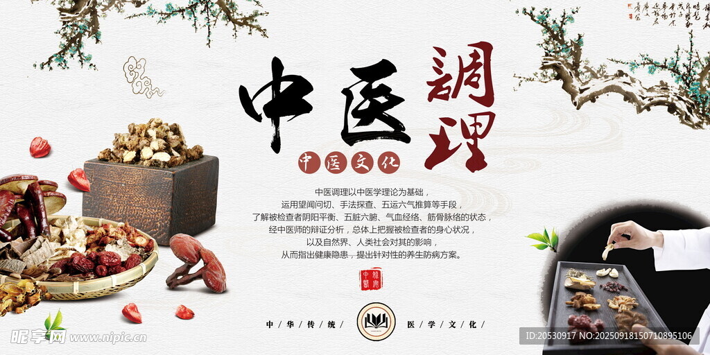 中醫(yī)藥材展示與器具海報