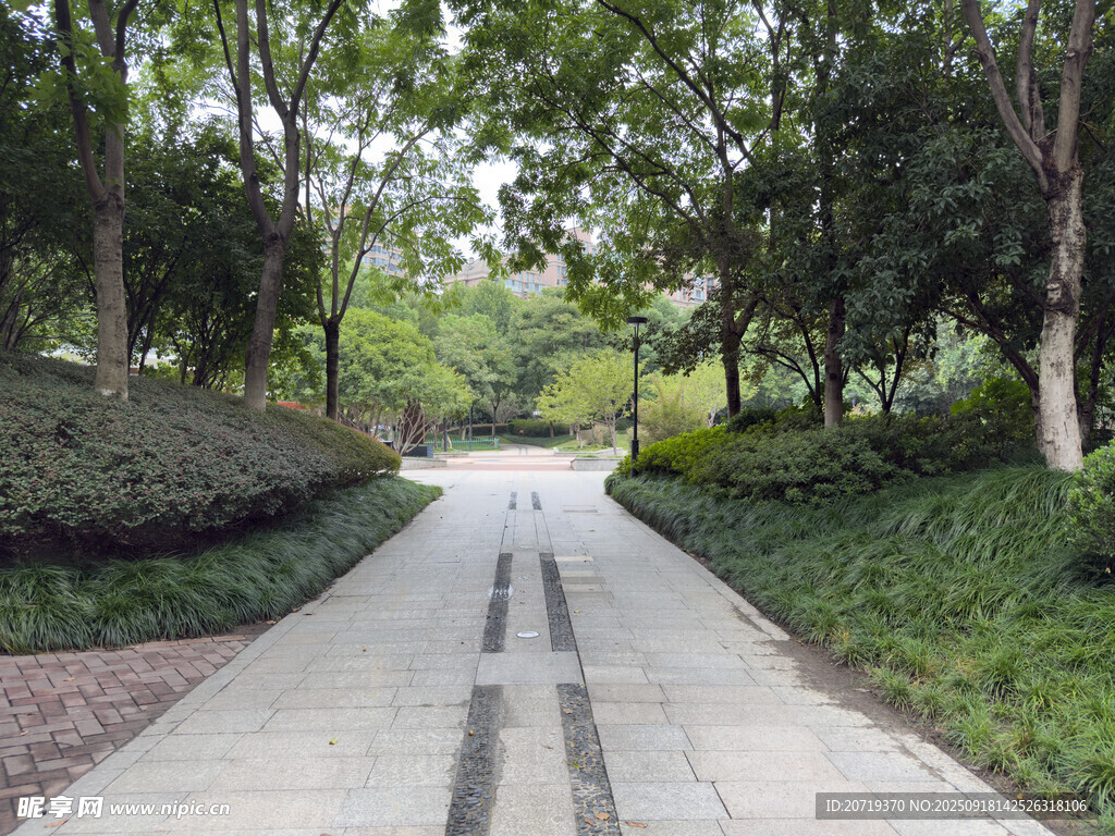 林間幽靜步道