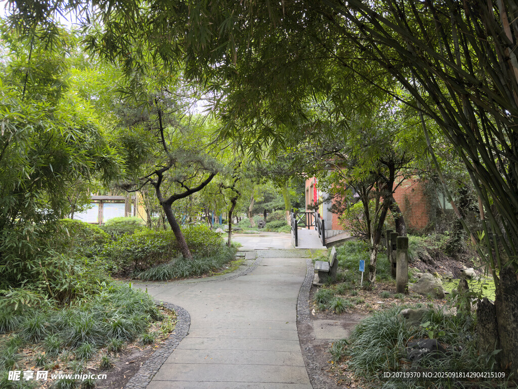 園林小徑的靜謐美景