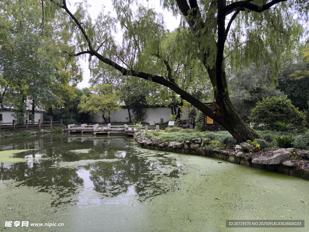 中式園林池塘景觀