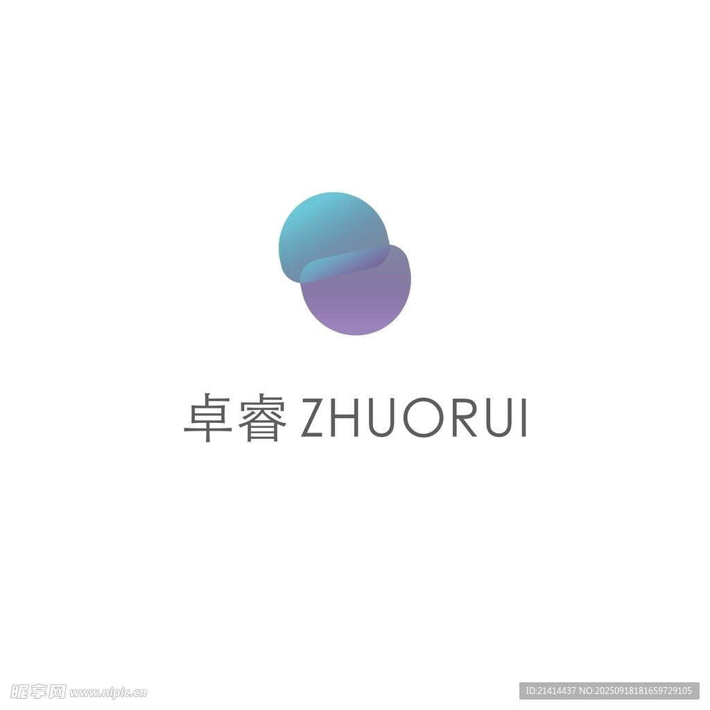 卓睿品牌標(biāo)志設(shè)計(jì)