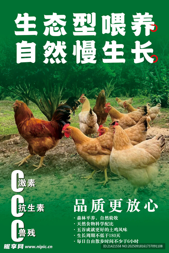 生態(tài)農(nóng)家雞