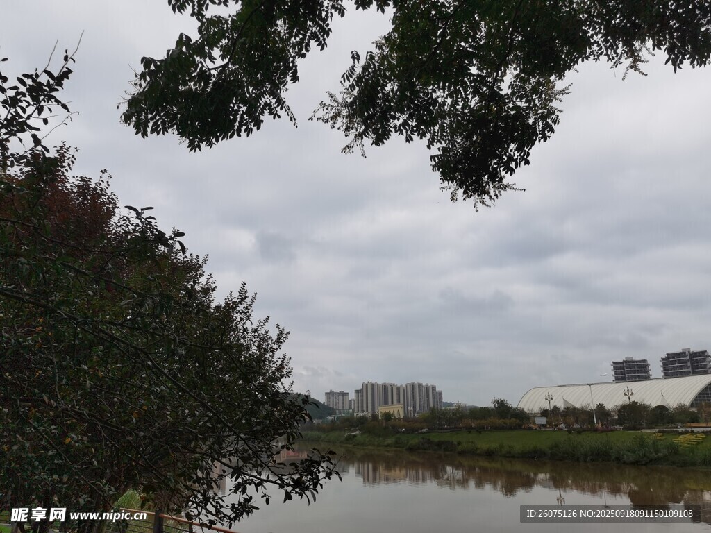 湖畔綠樹(shù)與遠(yuǎn)處建筑風(fēng)景