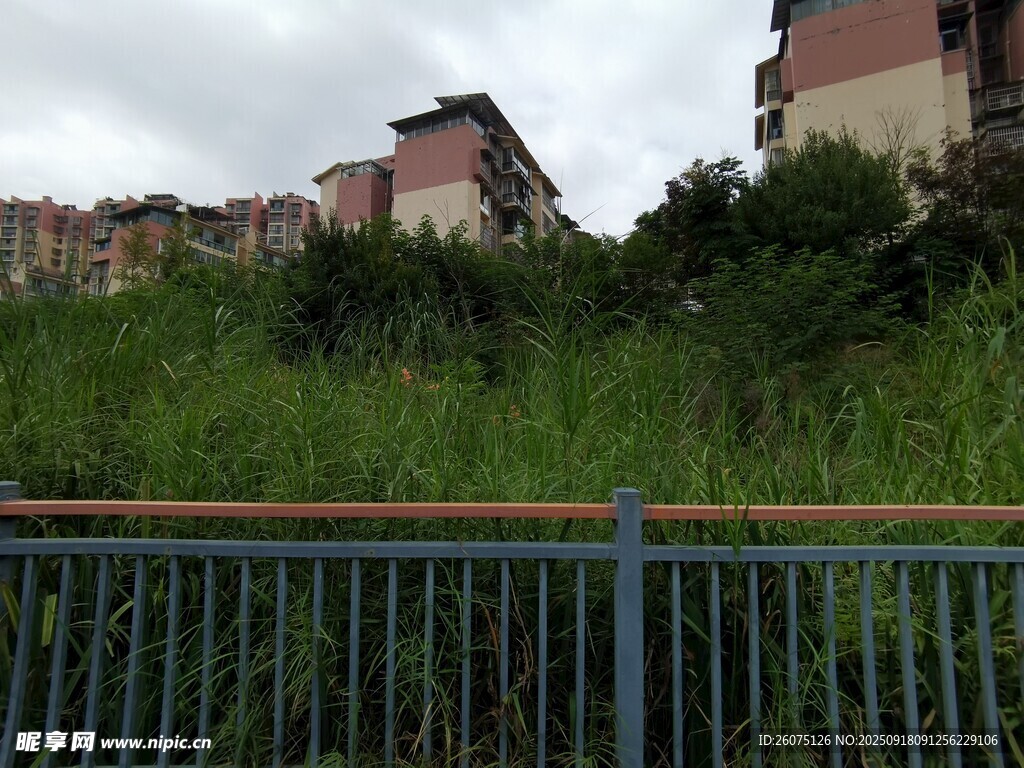 圍欄后的荒廢建筑與雜草