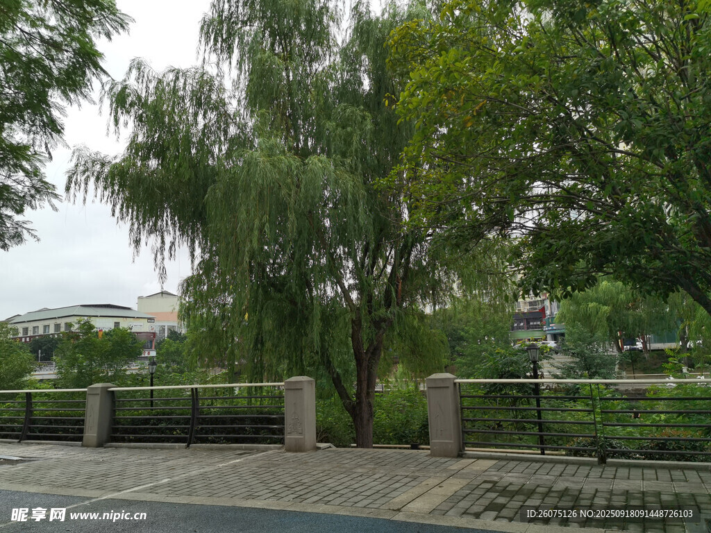 公園中蔥郁樹(shù)木與石凳景觀