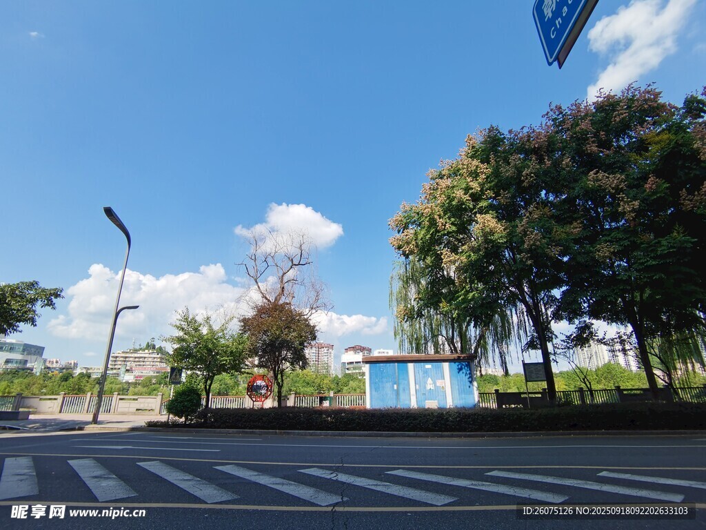 城市街道旁的綠樹與建筑