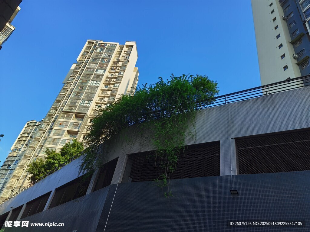 城市建筑旁的綠植景觀