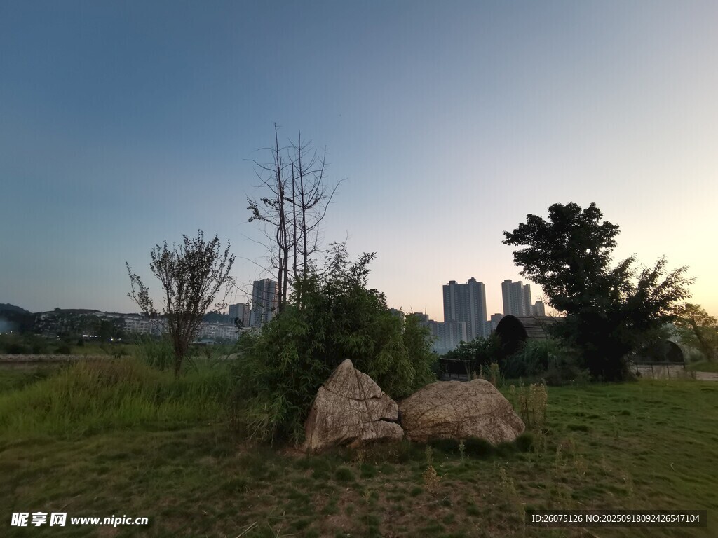 城郊草地與遠處城市景觀