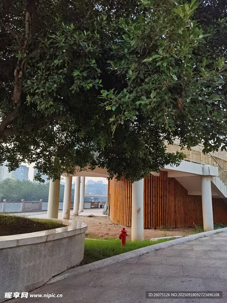 庭院中的木質(zhì)建筑與綠植