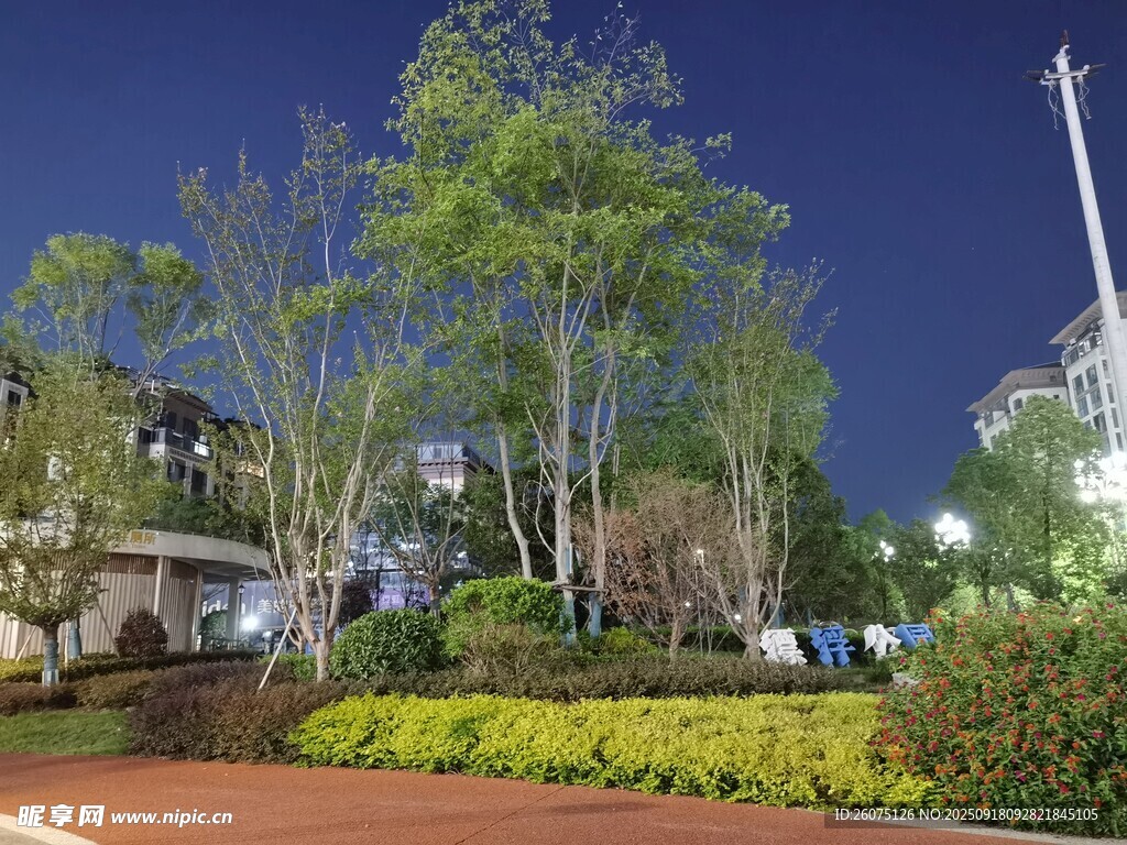 夜晚公園綠植景觀