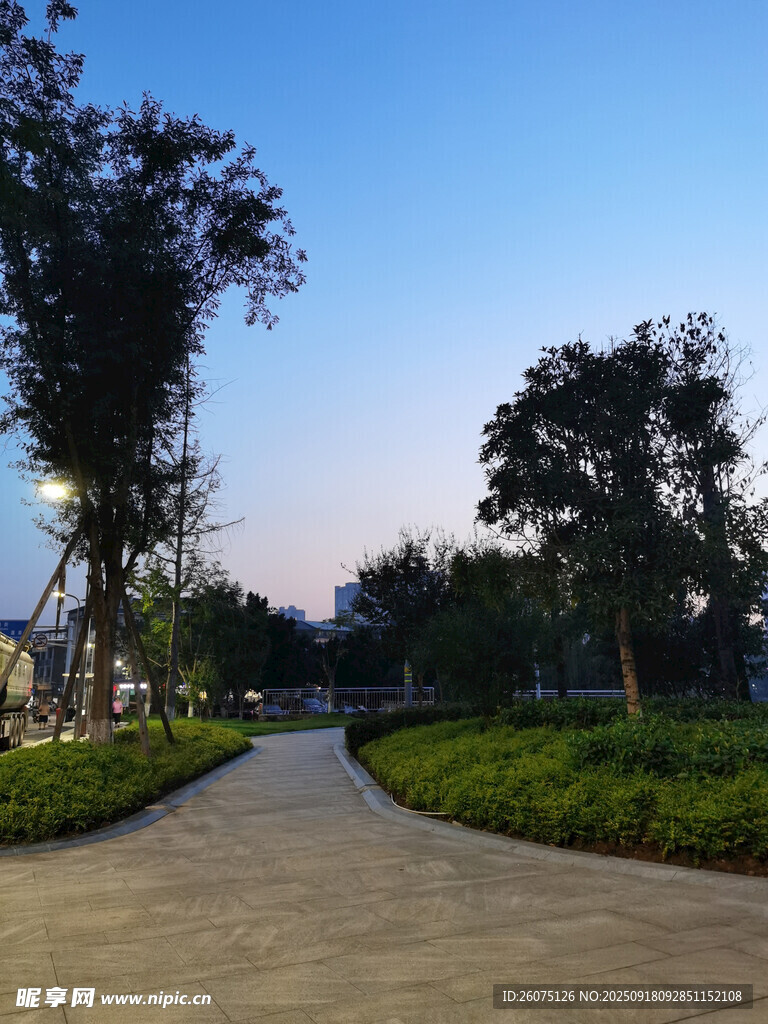 黃昏下的靜謐公園小徑