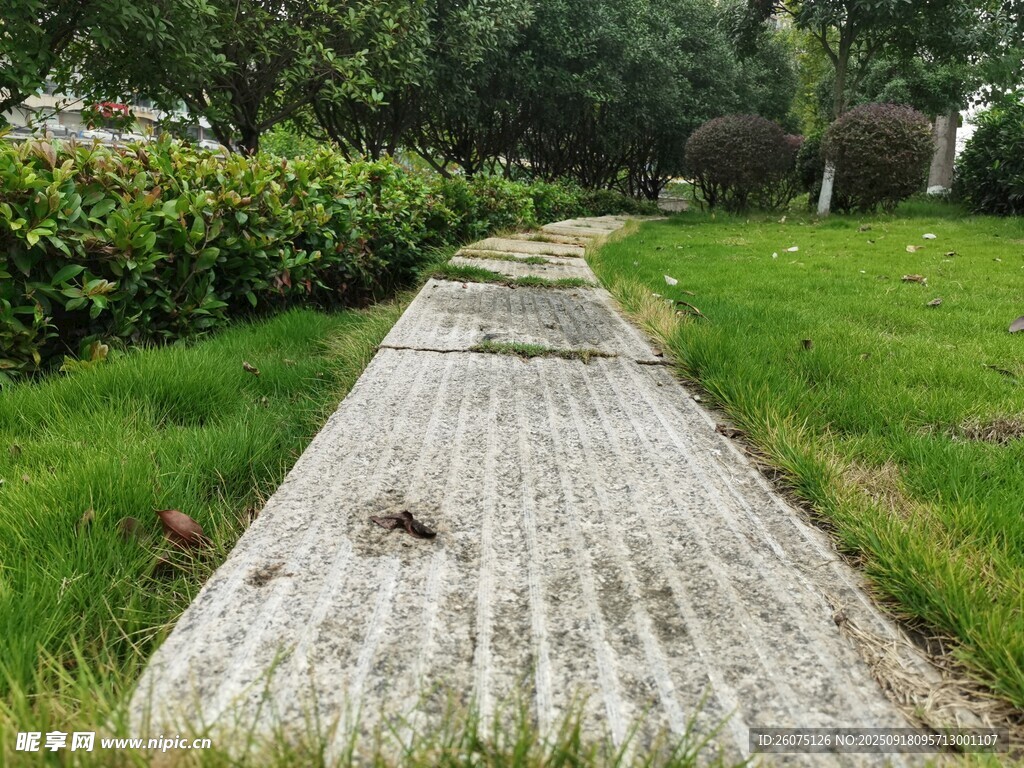 林間石板小徑綠意盎然