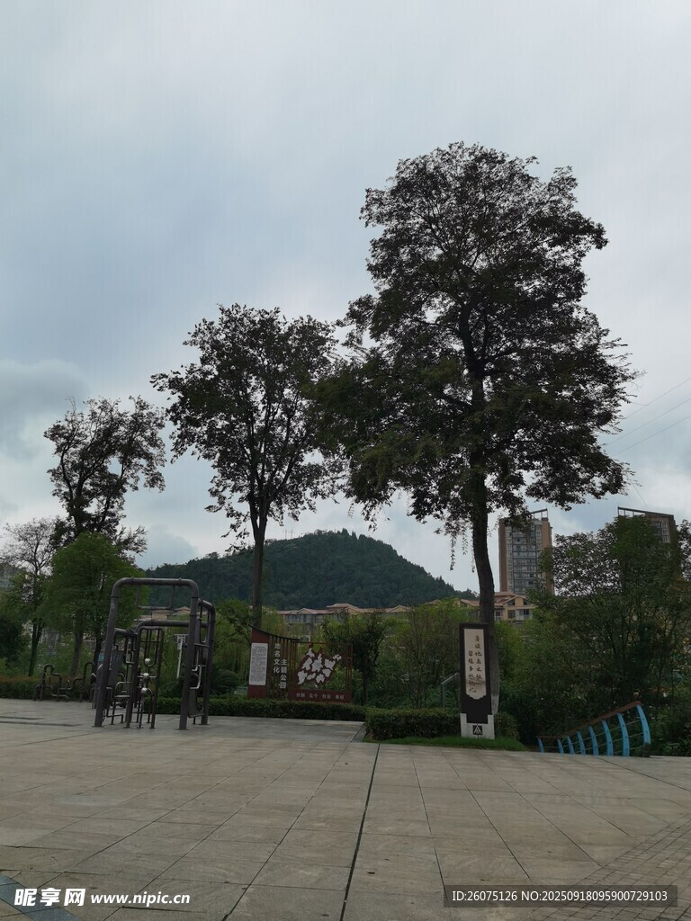戶外開(kāi)闊場(chǎng)地與樹(shù)木景觀