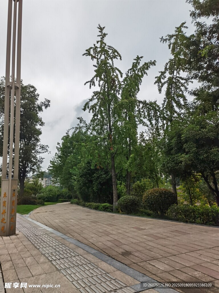 戶外木質(zhì)步道與綠植景觀