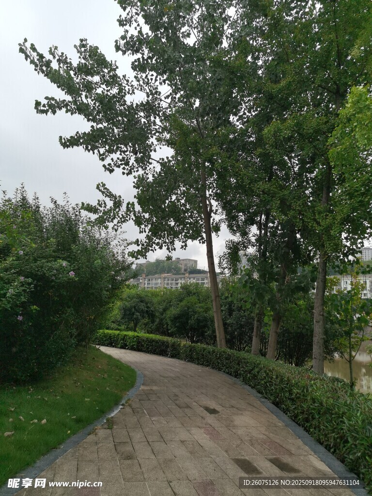 林間蜿蜒小徑綠意盎然