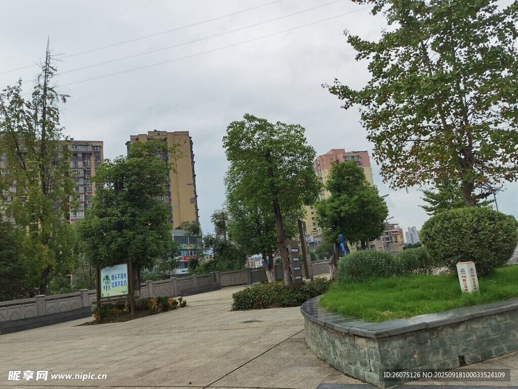 城市中的靜謐綠化景觀