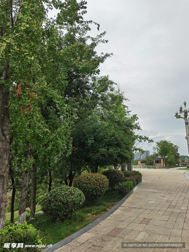 園林景觀中的蜿蜒小徑