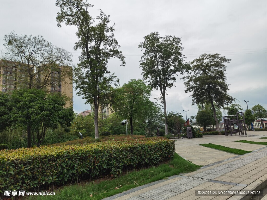 城市公園中的綠植與步道