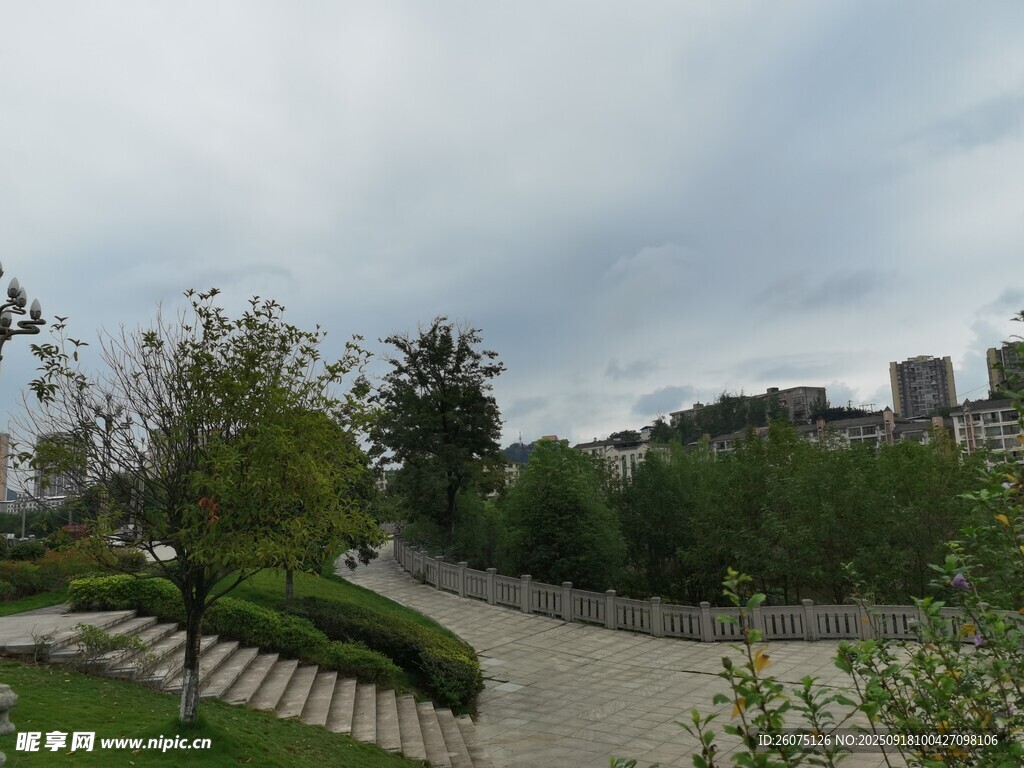 城市中寧靜的綠化景觀道路