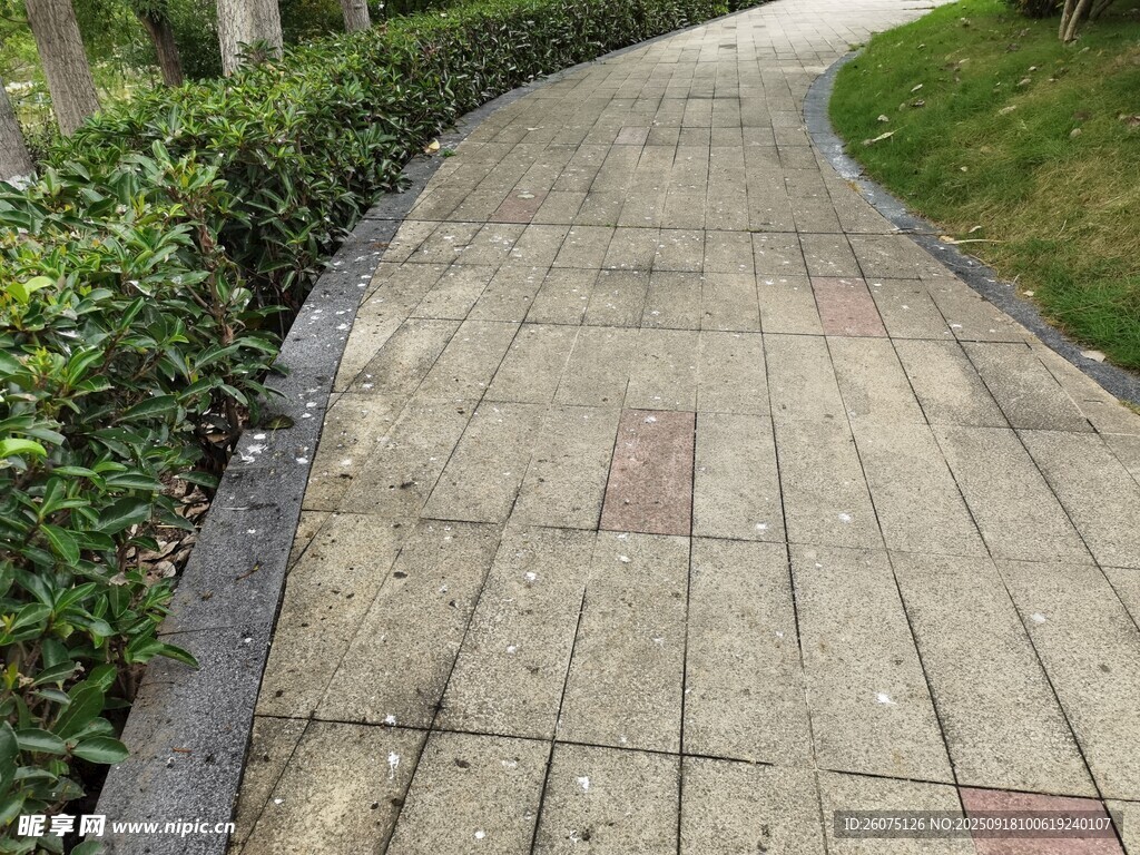 石板小徑綠意相伴