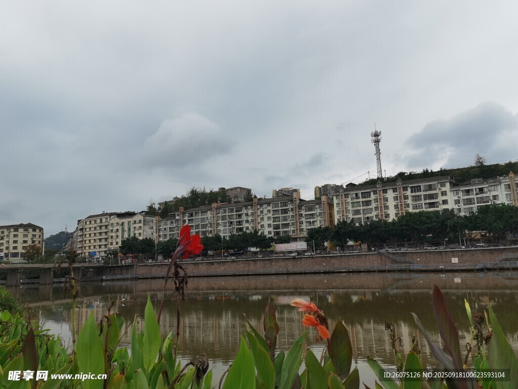 河畔城市景觀與綠植
