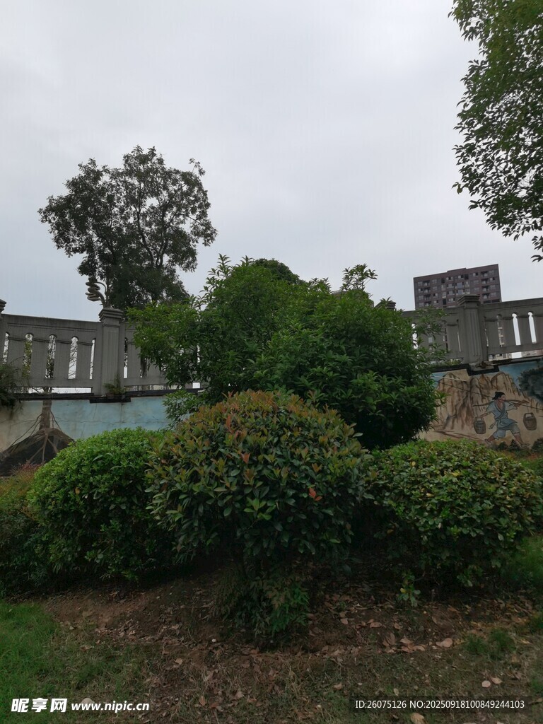 戶外綠植環(huán)繞的建筑景觀